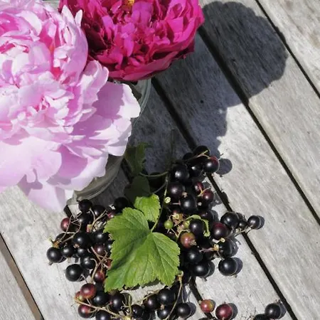 Le Bisdorff מלון ברדורף