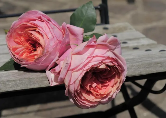 Le Bisdorff 3* Berdorf