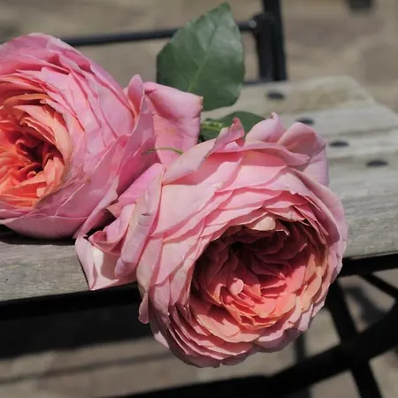 Le Bisdorff 3* Berdorf